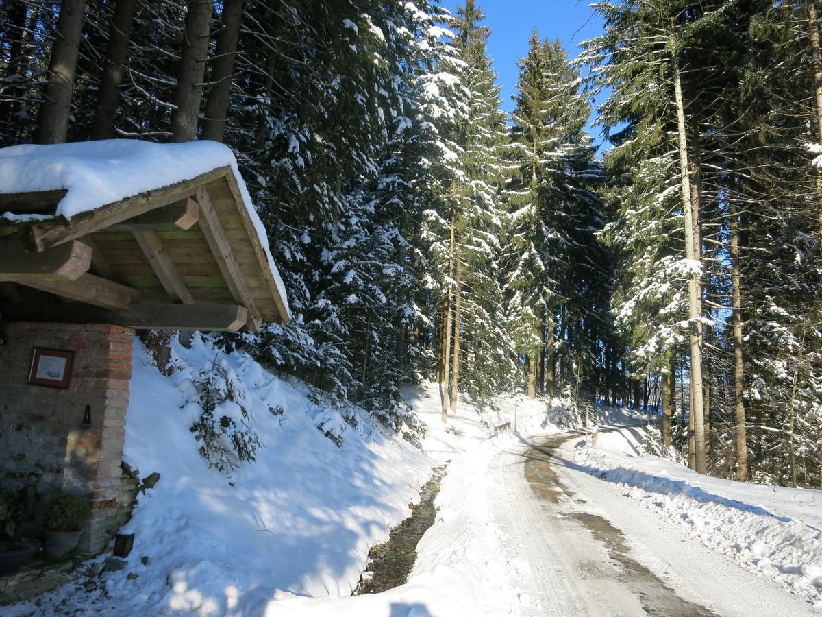 Hotel Hirschenstein Achslach Dış mekan fotoğraf